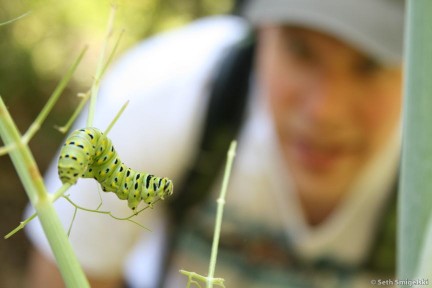 Hungry Little Guy